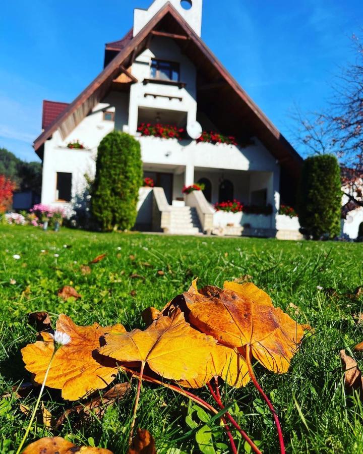 Bed and Breakfast Castelul De Smarald Pangaracior Exteriér fotografie